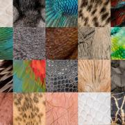 Collage verschiedener Menschen- und Tierhäute