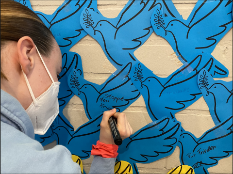 Ein Schüler beschreibt eine Friedenstaube